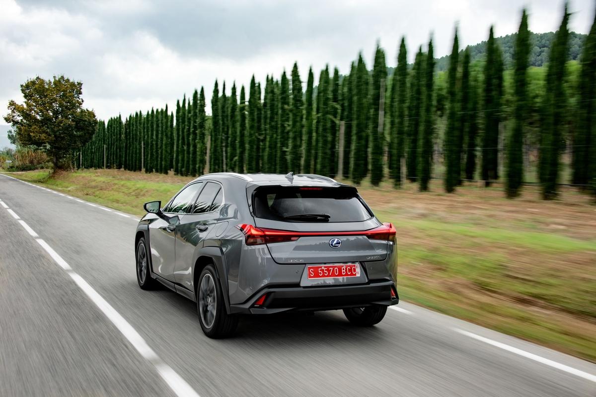 Lexus UX 250h achterkant grijs