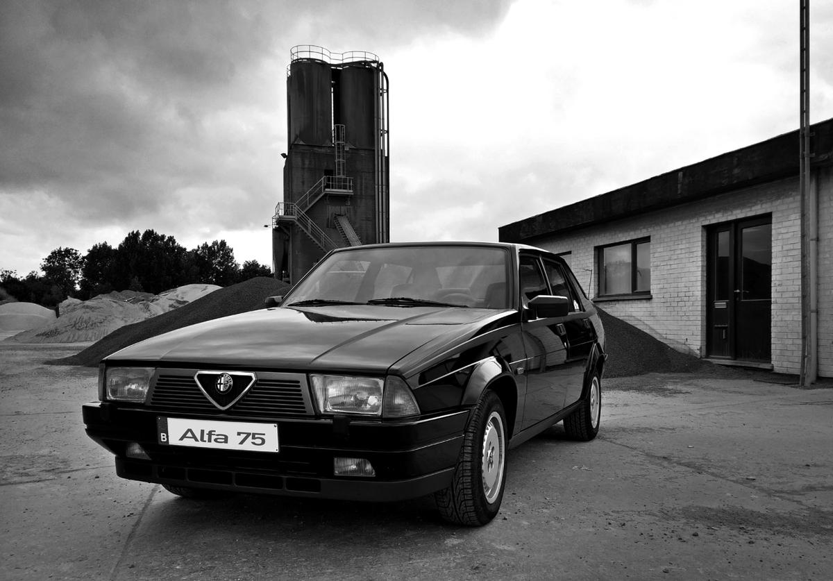 vfs05-alfaromeo-75